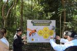 NUEVO ATRACTIVO TURÍSTICO EN EL REFUGIO BIOLÓGICO MBARACAYÚ!